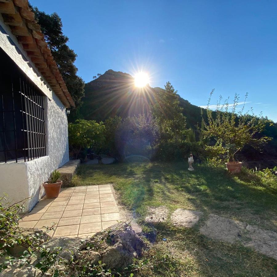 Casas Rurales Camaretas Yeste Exteriör bild