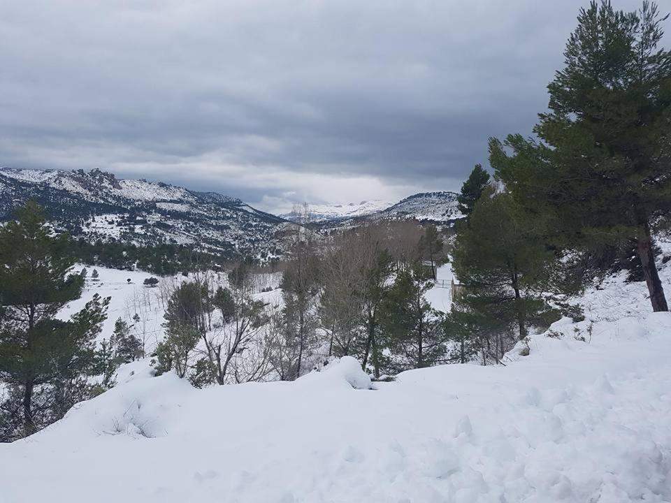 Casas Rurales Camaretas Yeste Exteriör bild